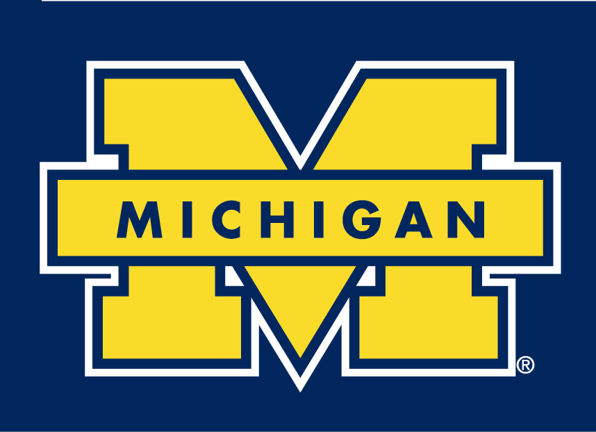 Michigan Wolverines 1996-Pres Secondary Logo v2 diy DTF decal sticker